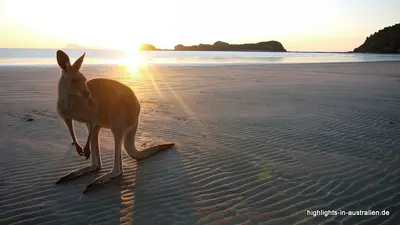 Cape Hillsborough