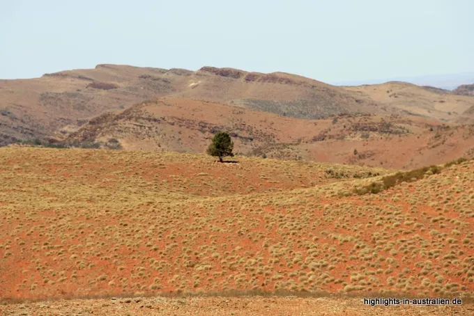 In den Flinders Ranges