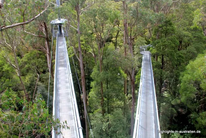 Otway Fly und den Treetop Adventures